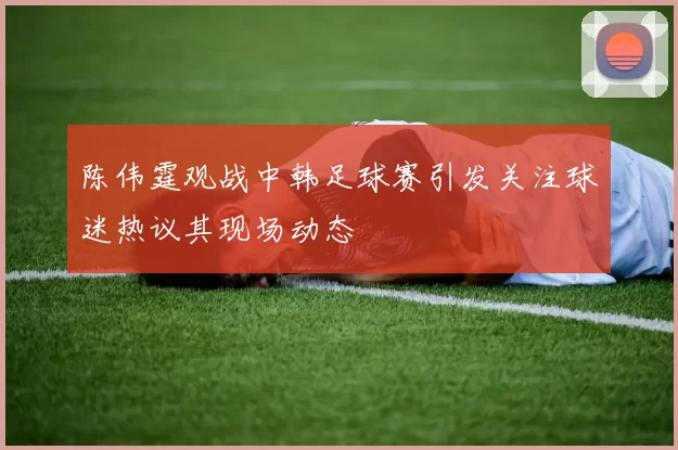 陈伟霆观战中韩足球赛引发关注球迷热议其现场动态