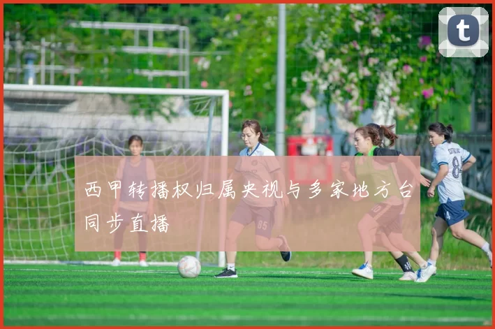 西甲转播权归属央视与多家地方台同步直播