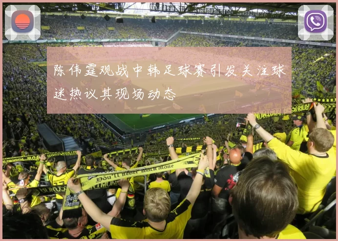 陈伟霆观战中韩足球赛引发关注球迷热议其现场动态