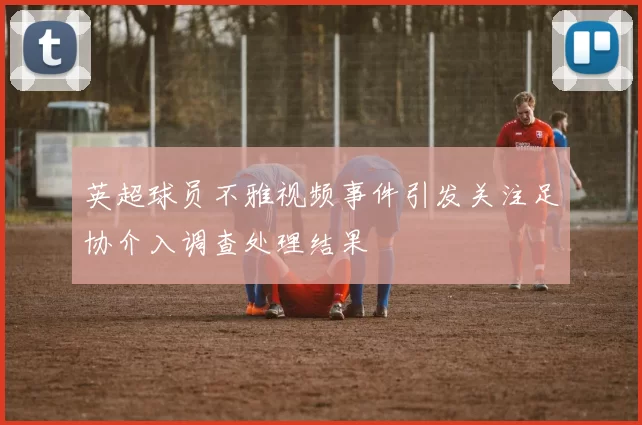 英超球员不雅视频事件引发关注足协介入调查处理结果