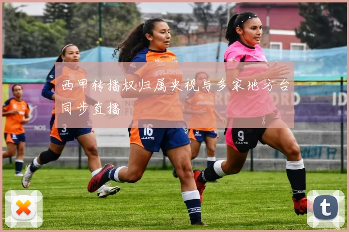 西甲转播权归属央视与多家地方台同步直播