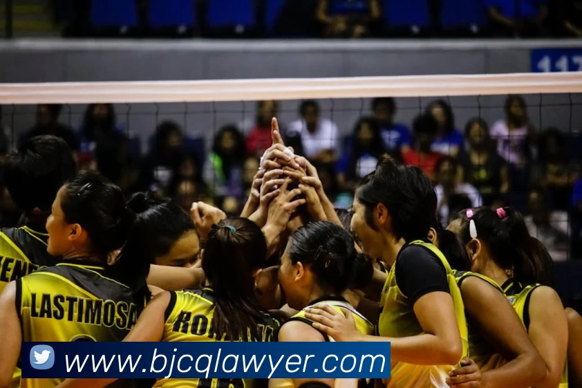 开云官方网页版·开云登陆入口 - 开云(中国)APP 封面图